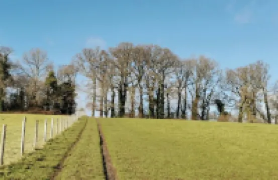 Romantic cottage for two, Dartmoor and SW coast