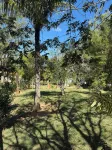 Sitio Ilha do Lazer