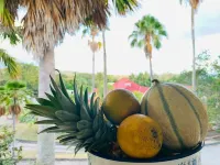 Charming T2 in hotel residence 르 디아멍 호텔