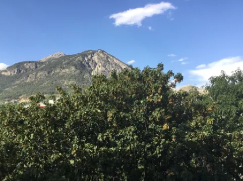 Appart au Coeur de Ville 6/8 pers 92 m2 Kitchen Living room Dining room 3 bedrooms