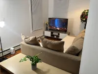 Spacious 3-bed apartment with WiFi, AC NEAR HOSPITAL, ANN ARBOR