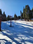 Cozy 2-bedroom Cedar cabin in charming Sequoia National Park with WiFi