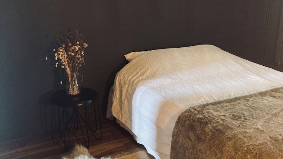 Cosy et Charmant T3 aux Puces