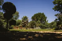 Large Luberon stone farmhouse with beach pool - Le mas du chemin blanc Hotel a Cavaillon