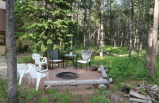 New Island Park Cabin w/ Trail Access & Trl Parking. 20 Min to West Yellowstone