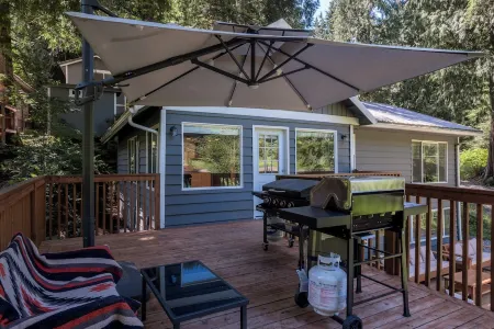 SkyRiverPeaks Cabin, Riverfront,Views, AC,Pets