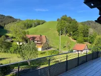 Gemütliche Ferienwohnung für 2-3 Personen mit Großer Sonnenterasse Hotels in Wolfach