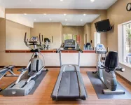 Sleep Inn & Suites Midland West - Gym