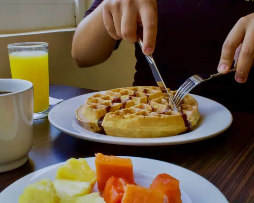 Ibis Monterrey Valle Mahlzeiten Photos