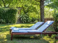 "Vicinia" with garden in the castle