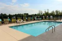 Holiday Inn Express & Suites HENDERSONVILLE SE - FLAT ROCK by IHG - Pools