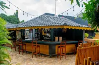 Hôtel Ô Balkan - bar