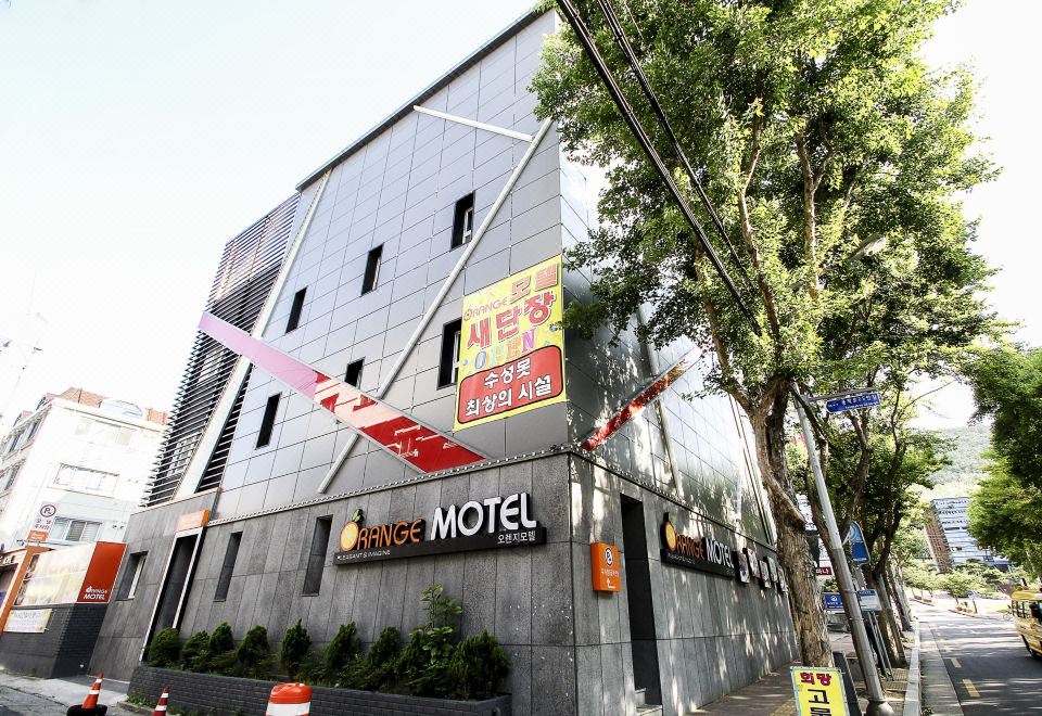 대구 수성구 오렌지