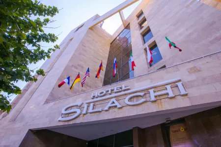 Ani Central Inn Отели в г. Ереван