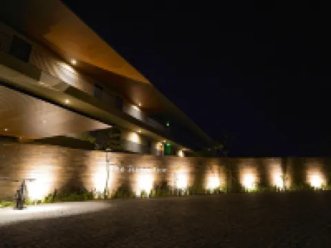 The Funny Lion - Puerto Princesa Hotels in Palawan