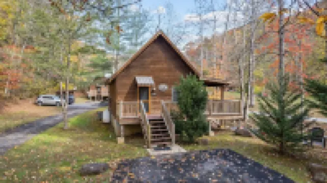 Creekside Family Getaway! Can't get any closer to the water than this!