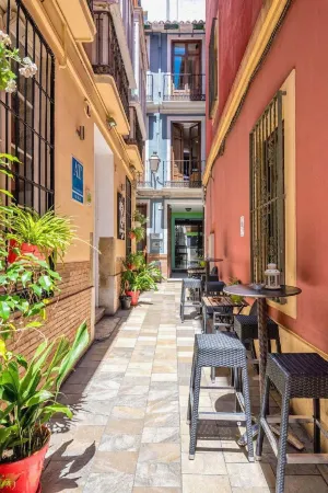 Feel Hostels City Center