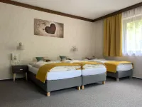 Hotel Haas - Hot Springs