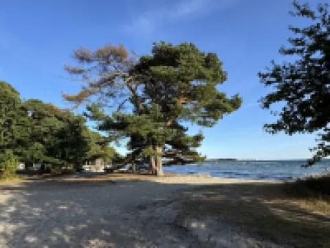 Hälleviks Strandstugor Hotels in Solvesborg Municipality