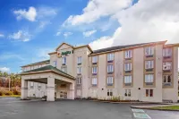 Quality Inn - piscina