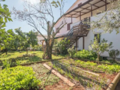 Apartments Neva Hotels in Novigrad
