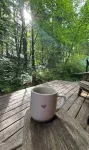 Cozy Cascade Cabin. Relaxing Hot Tub, Secluded, Spacious and Creek Nearby