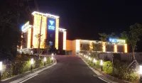 VIVID