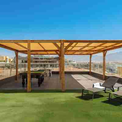 Sunny Rooftop Poolside Panoramic View Others