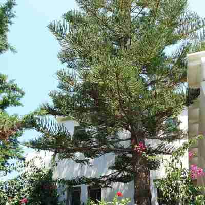 Porto Cheli 4bedroom Villa Plunge Pool Seaview 1 Hotel Exterior