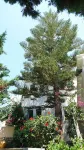 Porto Cheli 4bedroom Villa Plunge Pool Seaview 1