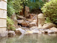 Ryotei Yamanoi - Kaplıcalı