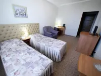 DezhaVyu Mini-Hotel 오룔 호텔