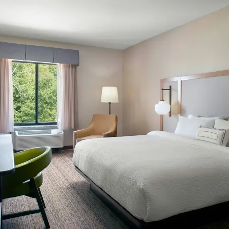 Fairfield Inn & Suites Asheville Airport/Fletcher