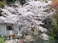 一本松温泉あけぼの荘 宿毛湾港周辺のホテル