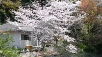 Ipponmatsu Onsen Akebono-so