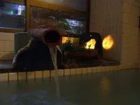 Yutagawa Onsen Ancient Cypress Private Bath Masuya Ryokan - 3-Star