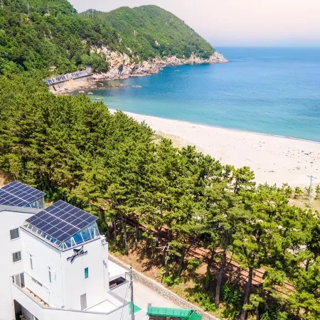 Samcheok Migaloo Pool Villa Pension
