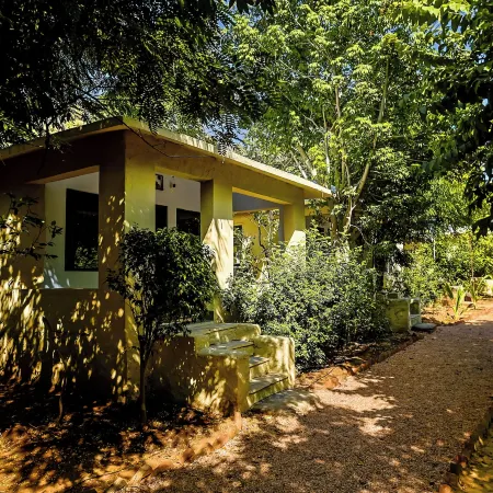 Sariska Forest Trail