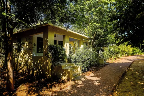 Sariska Forest Trail - Afhentnings-/afleveringstjenester