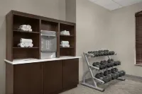 葡萄藤機場北 DFW Residence Inn 酒店 - 健身室/gym room