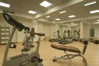 Hilton Garden Inn Rome Airport - Gym