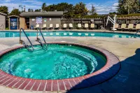 Cambria Pines Lodge - Romantic