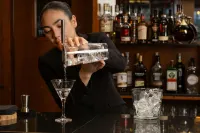 Hotel Euroski Mountain Resort & Spa - Bar