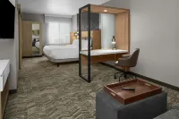 SpringHill Suites Riverside Redlands - Gym