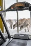 Thon Hotel Kautokeino - ที่มีฟิตเนส