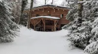 Unusual, secluded log cabin in the Vosges with luxury spa - 小木屋