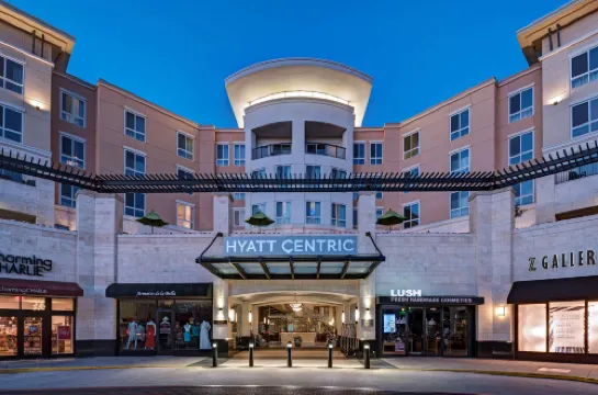 Hyatt Centric the Woodlands Hotels in The Woodlands