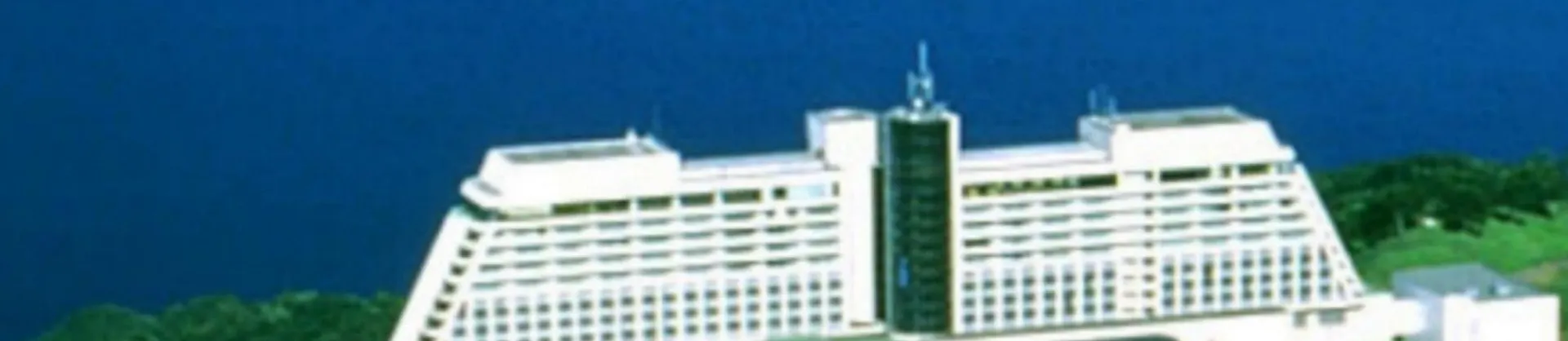 Лыжи