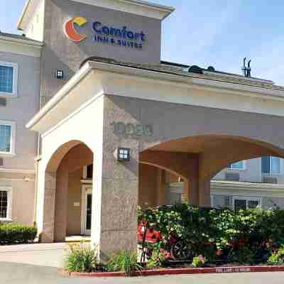 Comfort Inn & Suites Galt – Lodi North Hotel Exterior