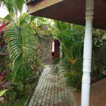 Tropical Beach House, Hikkaduwa Hotel Exterior